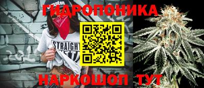 амф Краснознаменск