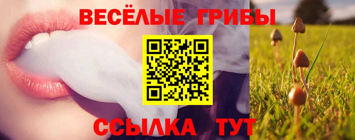 Галлюциногенные грибы MAGIC MUSHROOMS Орёл